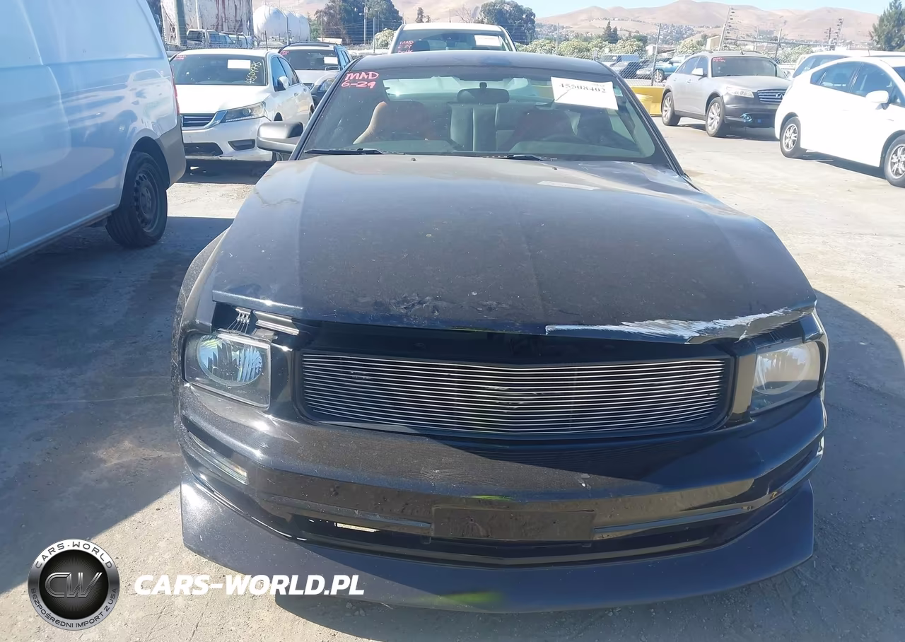 2008 Ford Mustang V6 Deluxe-V6 Premium VIN:1ZVHT80N485161564 - 6