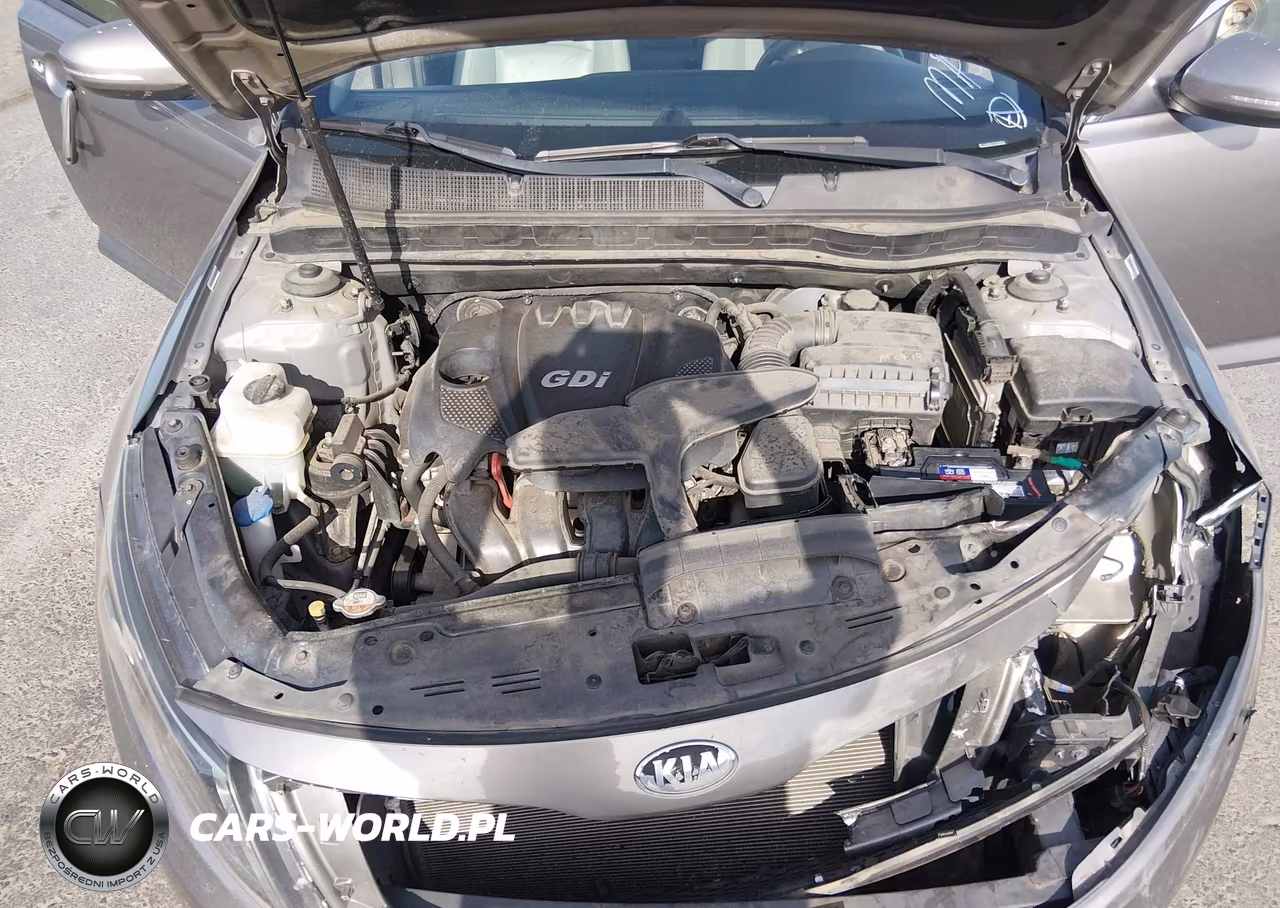 2015 Kia Optima Ex VIN:5XXGN4A7XFG389837 - 10