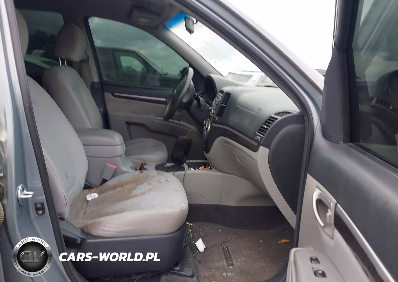 2009 Hyundai Santa Fe Gls VIN:5NMSG13D89H252147 - 5
