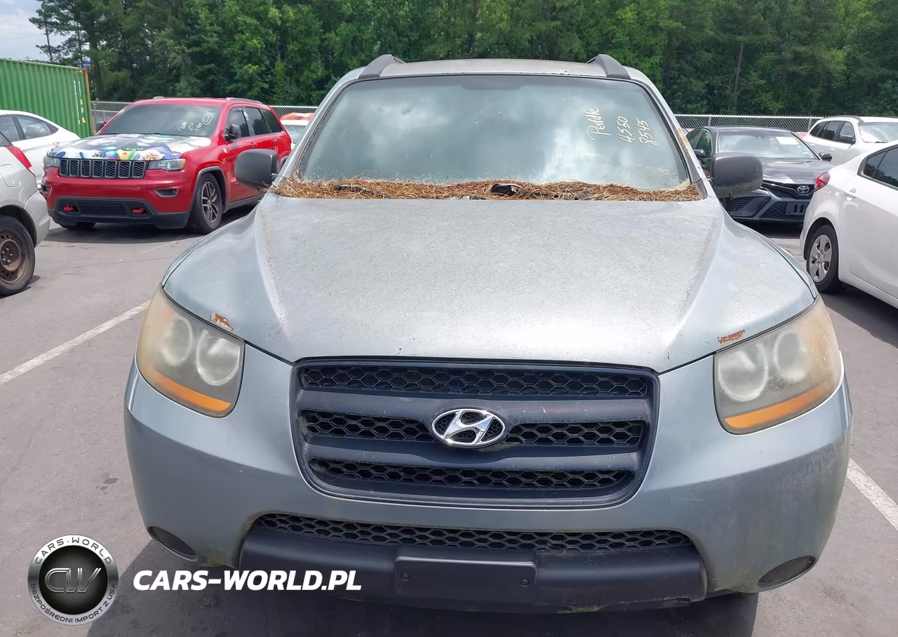 2009 Hyundai Santa Fe Gls VIN:5NMSG13D89H252147 - 6