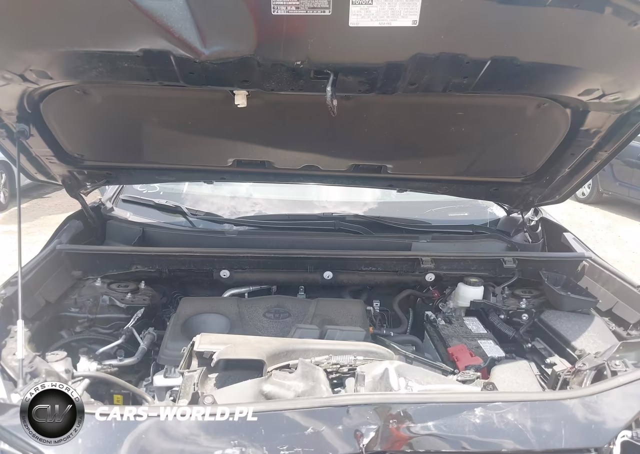 2025 Toyota Rav4 Xle VIN:2T3W1RFVXSC319629 - 10