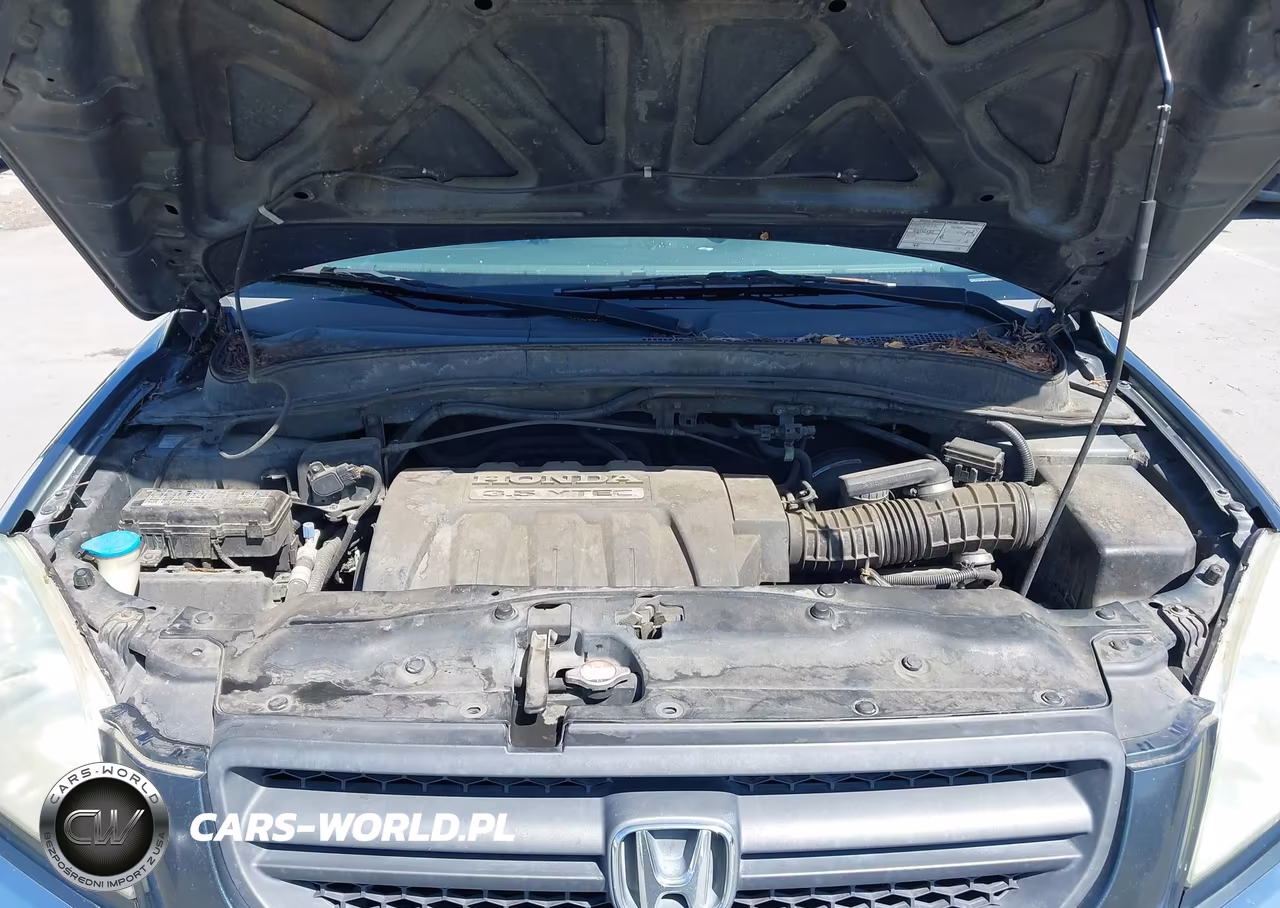 2005 Honda Pilot Ex-L VIN:2HKYF18705H533775 - 10