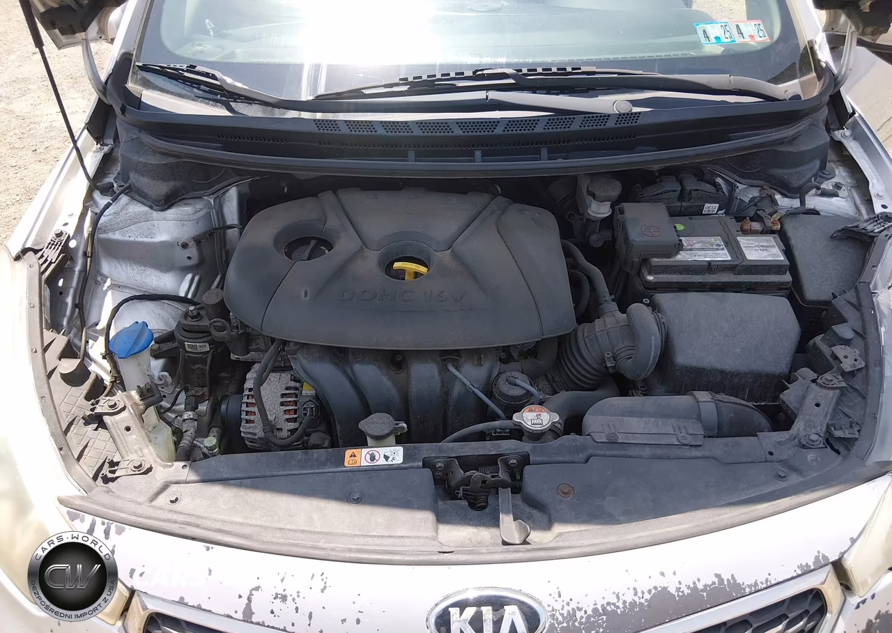 2015 Kia Forte Lx VIN:KNAFK4A63F5433660 - 10