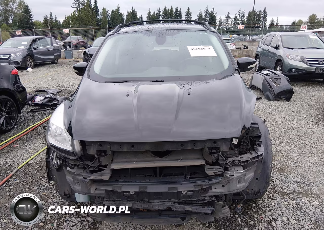 2013 Ford Escape Sel VIN:1FMCU9H98DUB40462 - 13