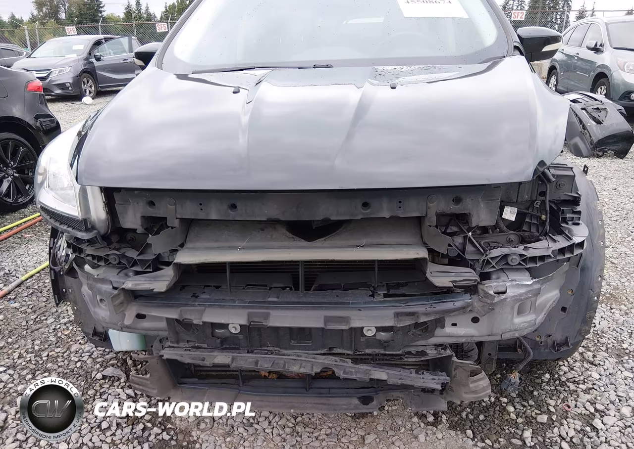 2013 Ford Escape Sel VIN:1FMCU9H98DUB40462 - 6