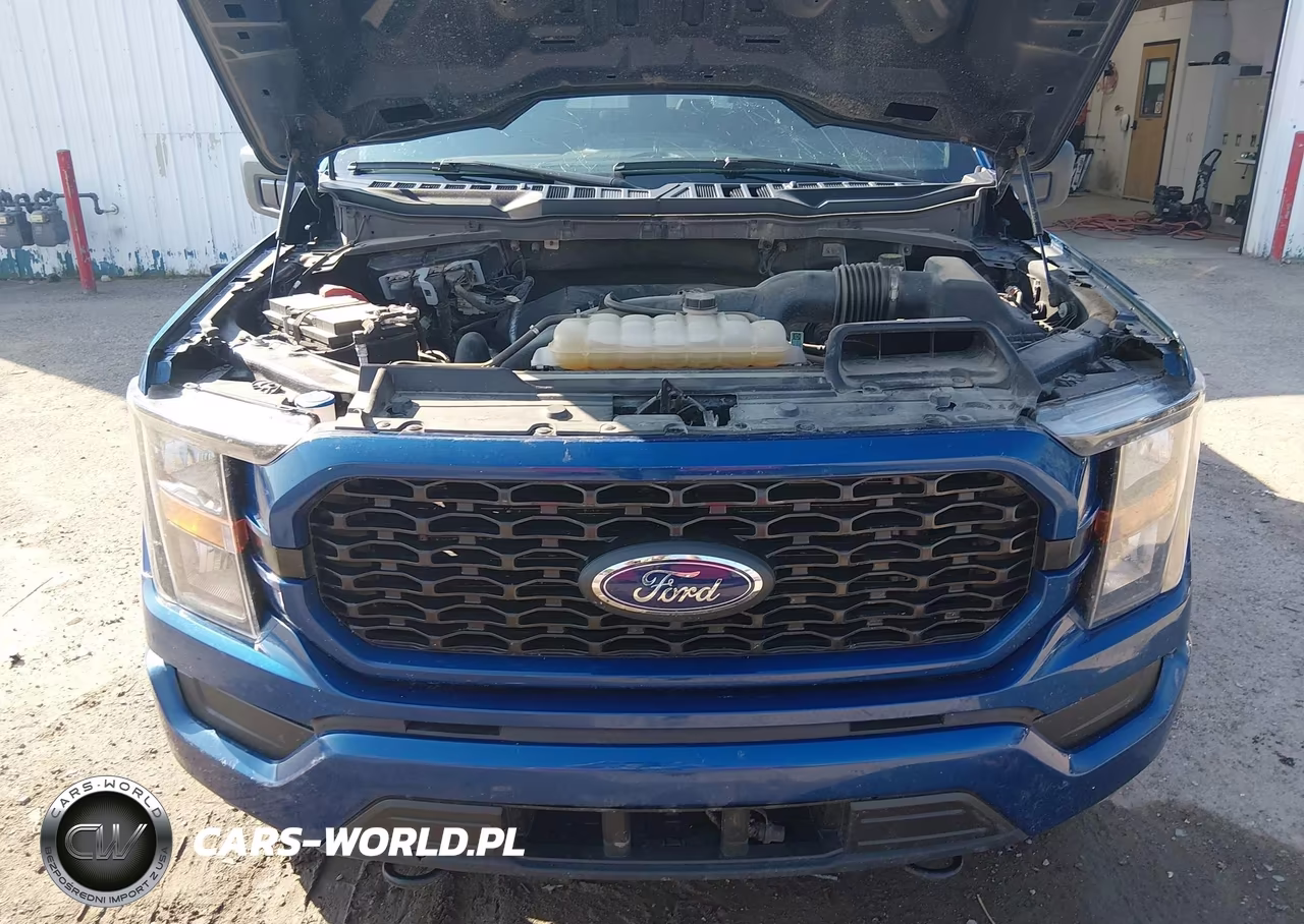 2023 Ford F-150 Xl VIN:1FTEW1EP0PKE96688 - 10