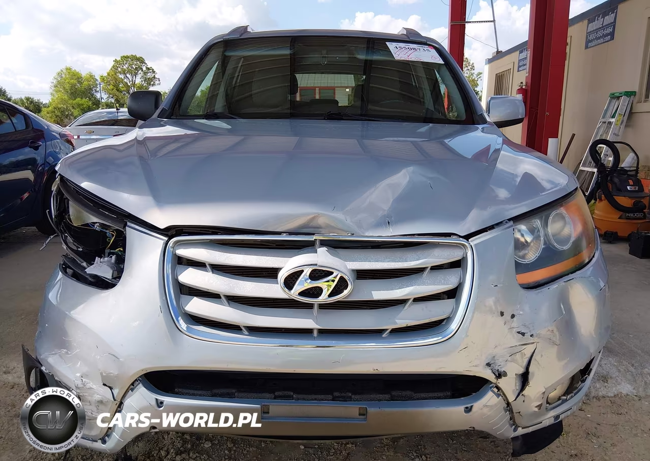 2010 Hyundai Santa Fe Se VIN:5NMSH4AG8AH399696 - 6
