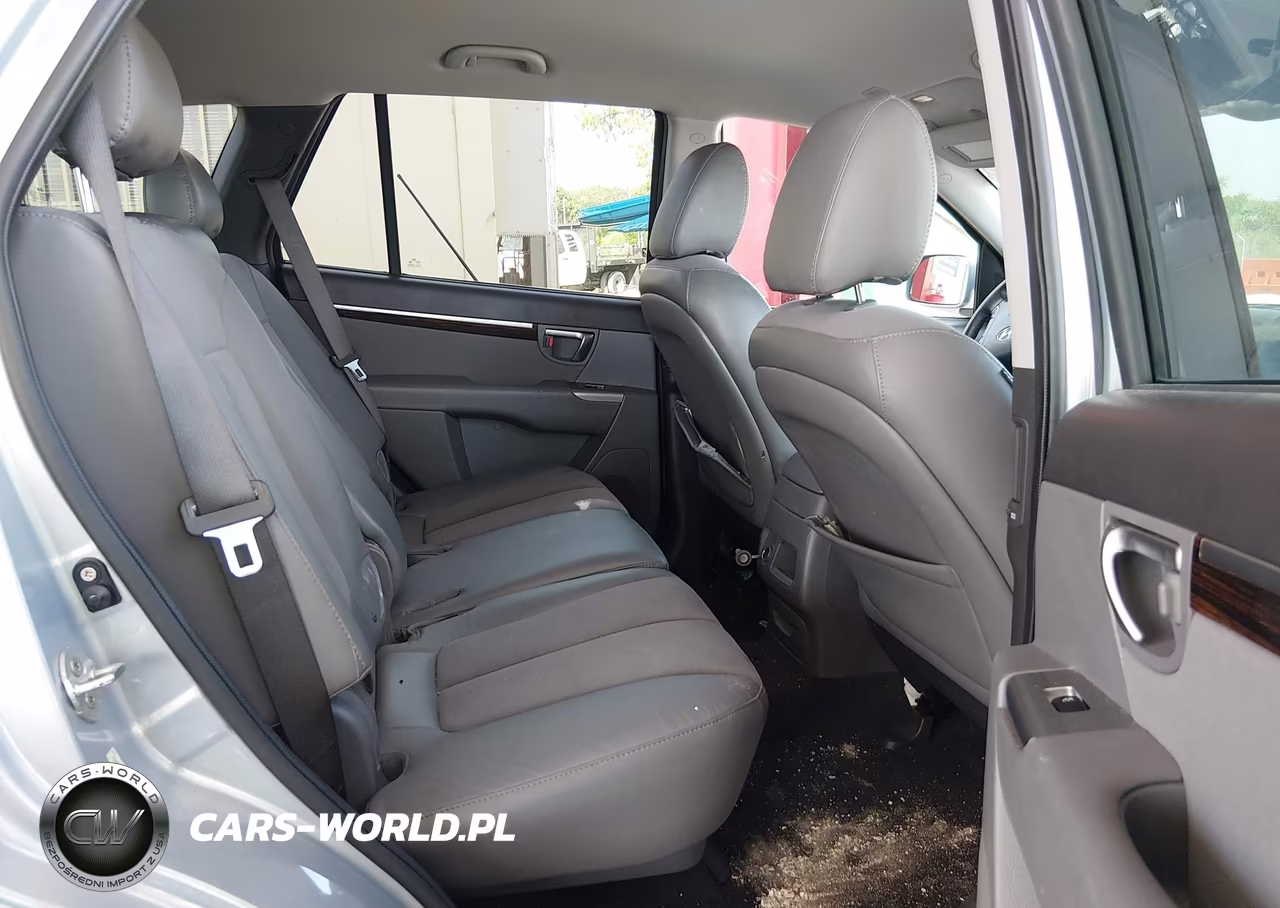 2010 Hyundai Santa Fe Se VIN:5NMSH4AG8AH399696 - 8