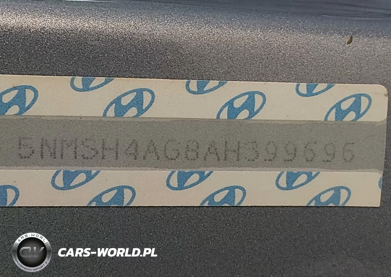 2010 Hyundai Santa Fe Se VIN:5NMSH4AG8AH399696 - 9
