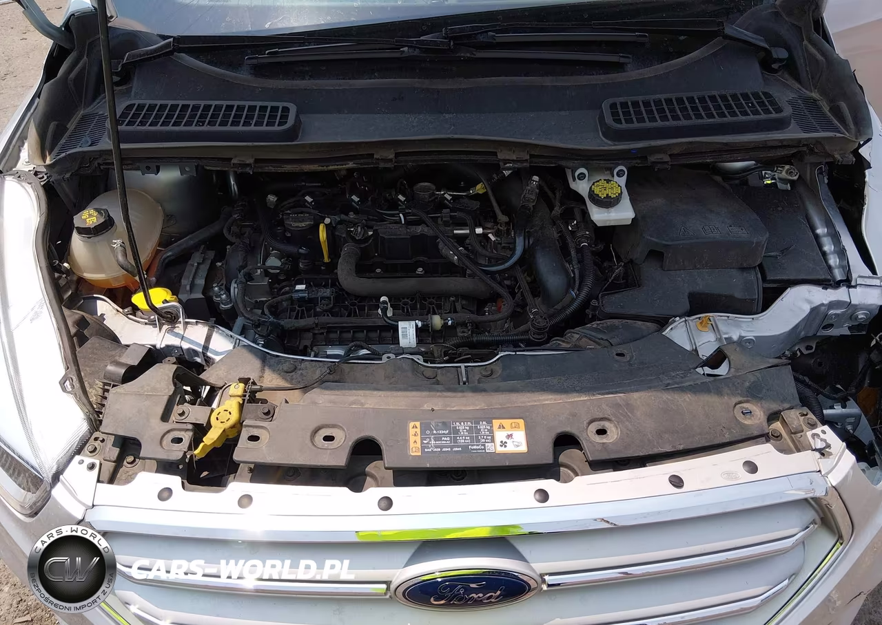 2019 Ford Escape Se VIN:1FMCU9GD1KUB60555 - 10
