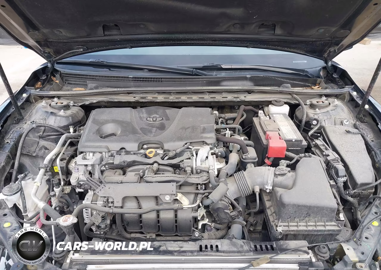 2019 Toyota Camry Le VIN:4T1B11HKXKU846578 - 10