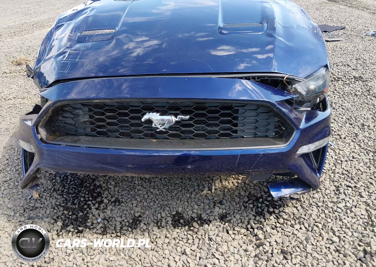 2018 Ford Mustang Ecoboost VIN:1FA6P8TH9J5172740 - 16