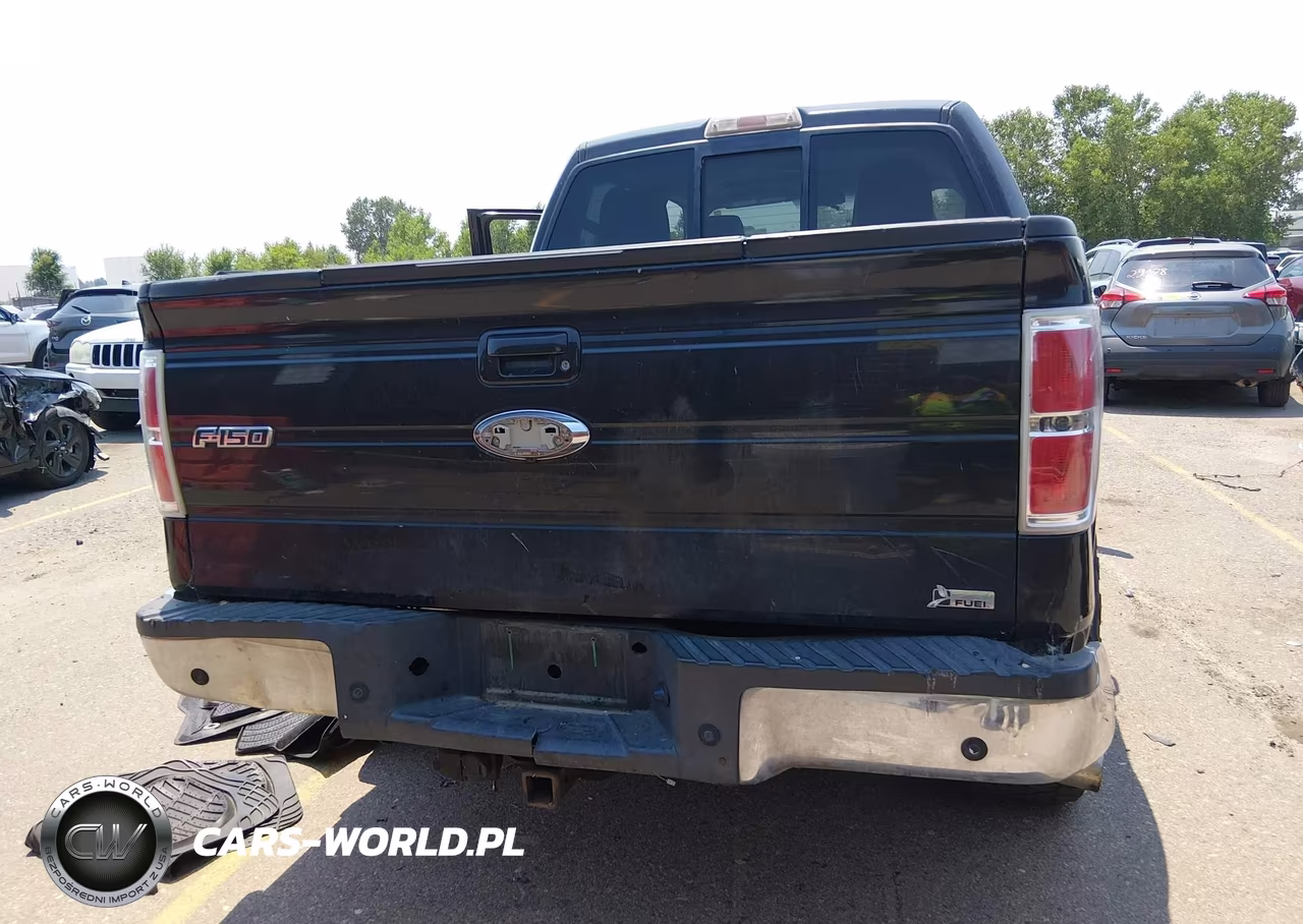 2010 Ford F-150 Fx4-Harley-Davidson-King Ranch-Lariat-Platinum-Xl-Xlt VIN:1FTFW1EV9AKB47992 - 16