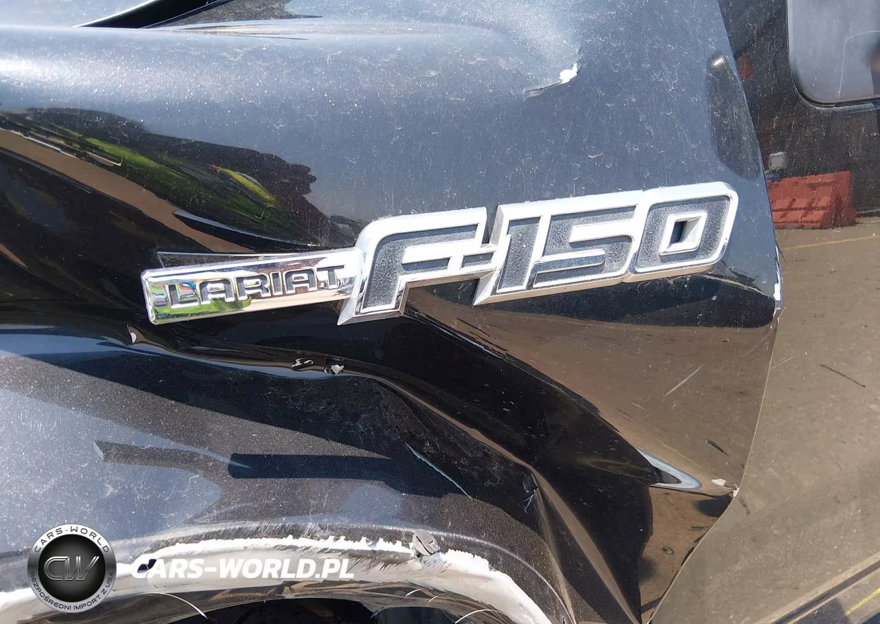 2010 Ford F-150 Fx4-Harley-Davidson-King Ranch-Lariat-Platinum-Xl-Xlt VIN:1FTFW1EV9AKB47992 - 18
