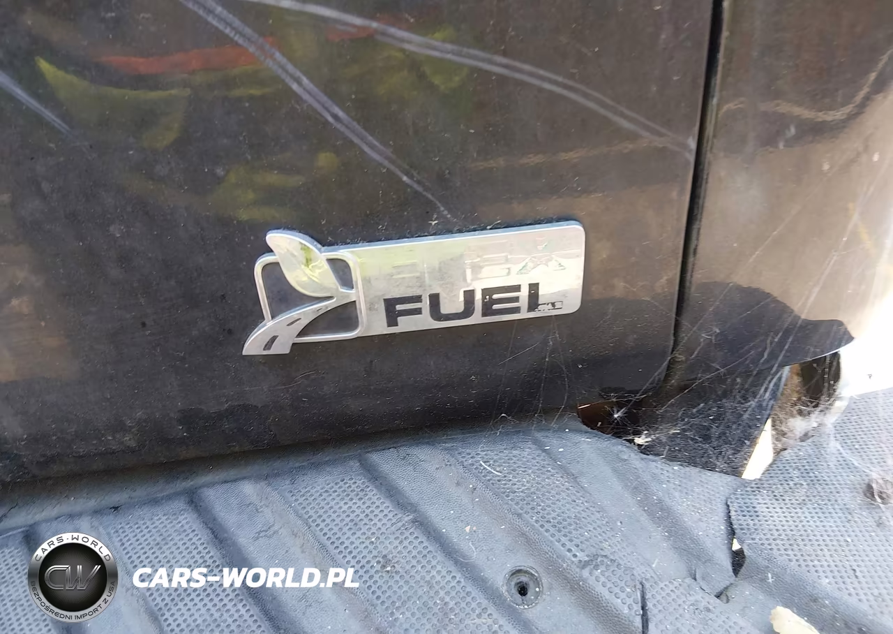 2010 Ford F-150 Fx4-Harley-Davidson-King Ranch-Lariat-Platinum-Xl-Xlt VIN:1FTFW1EV9AKB47992 - 20