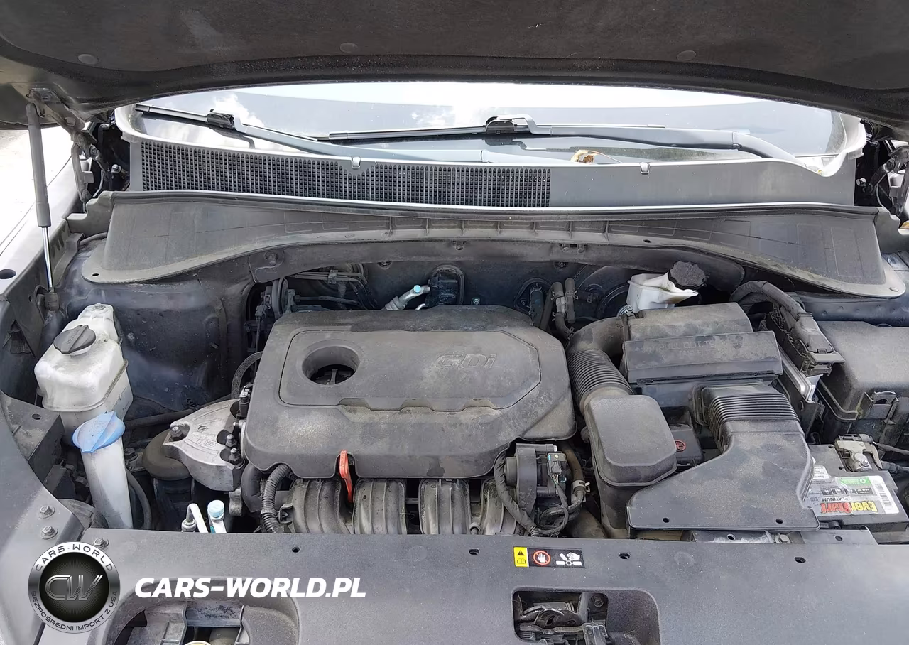 2018 Kia Sorento 2.4L L VIN:5XYPG4A31JG426978 - 10