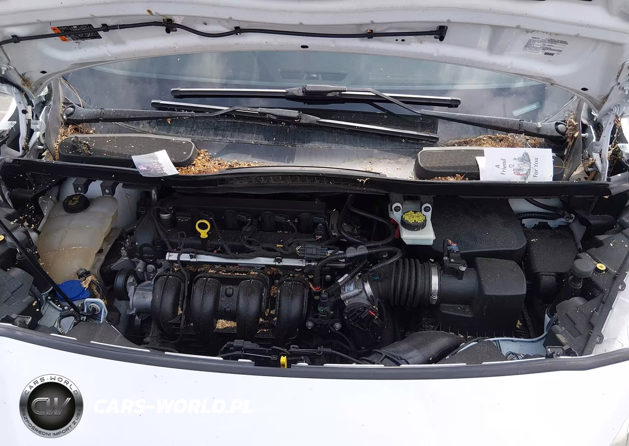 2020 Ford Transit Connect Xlt VIN:NM0LS7F77L1444282 - 10