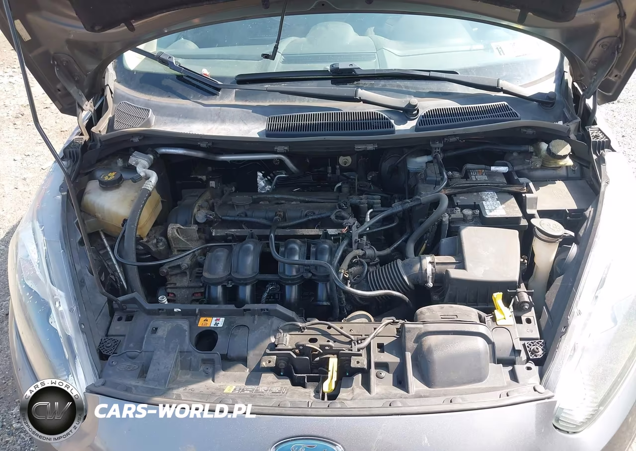 2014 Ford Fiesta Se VIN:3FADP4BJ5EM138914 - 10
