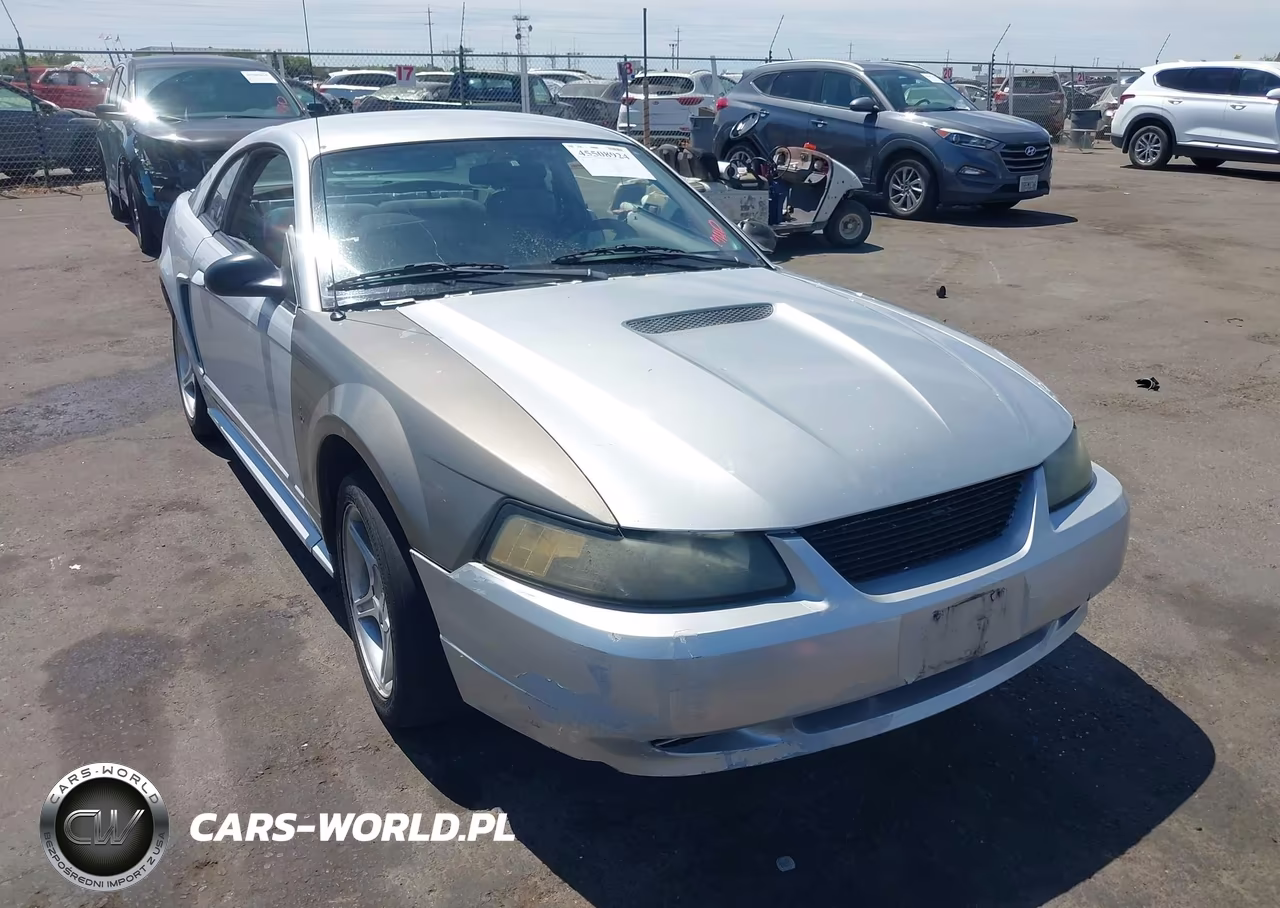 2002 Ford Mustang Deluxe-Premium-Standard