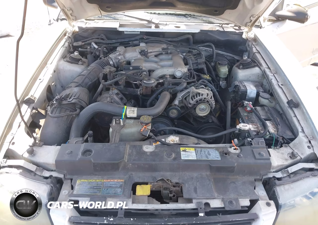 2002 Ford Mustang Deluxe-Premium-Standard VIN:1FAFP40482F150511 - 10