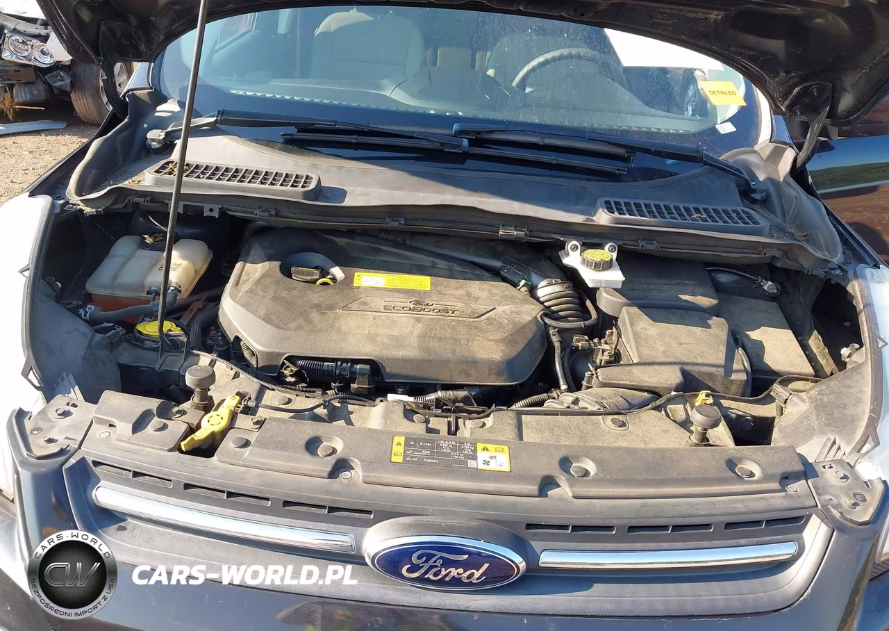 2013 Ford Escape Se VIN:1FMCU0GXXDUC07879 - 10