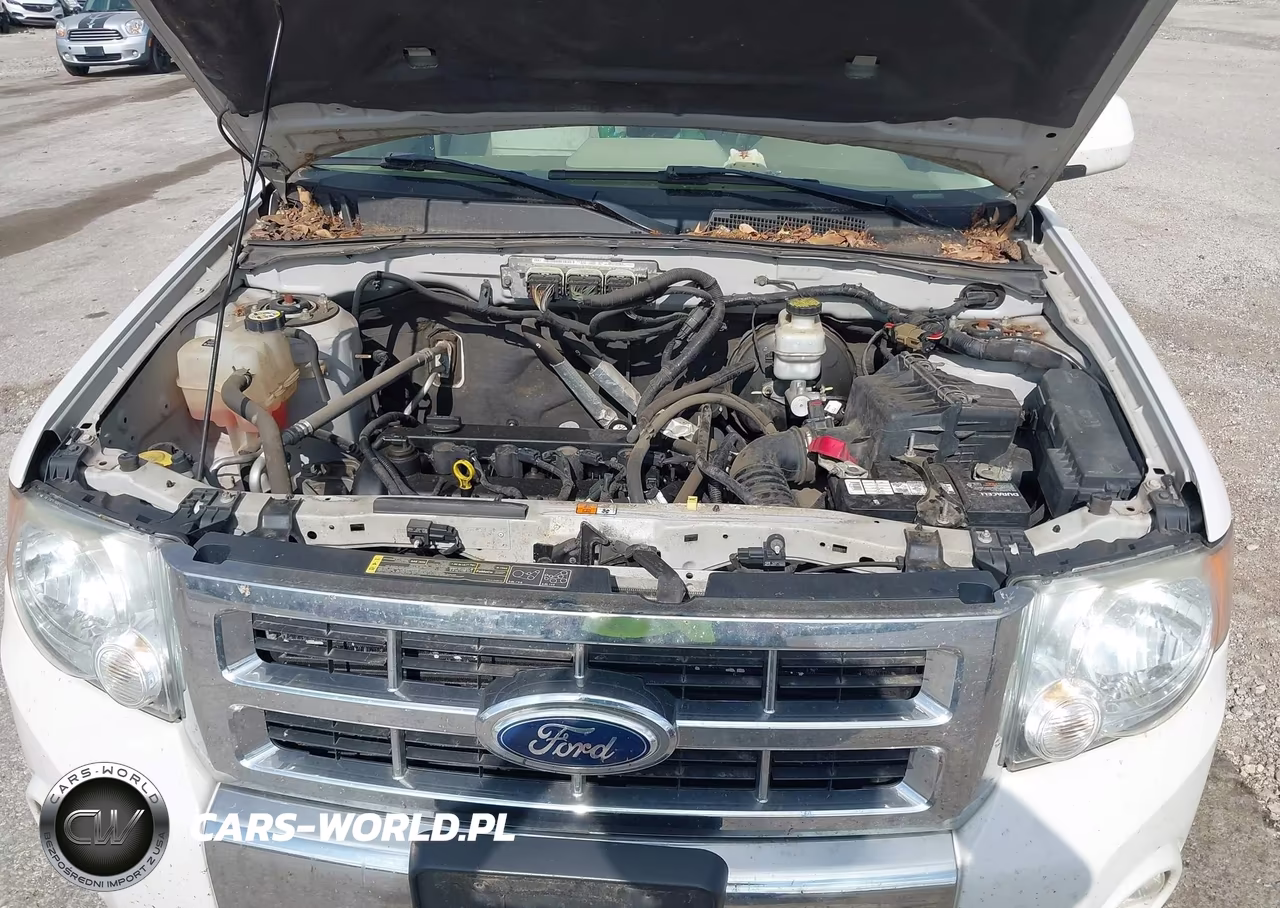 2011 Ford Escape Limited VIN:1FMCU0E70BKB20567 - 10