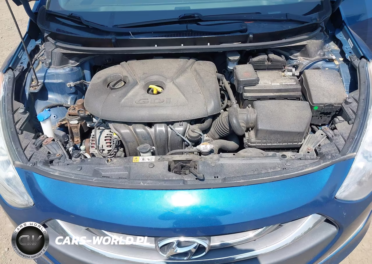 2014 Hyundai Elantra Gt VIN:KMHD35LHXEU177805 - 10