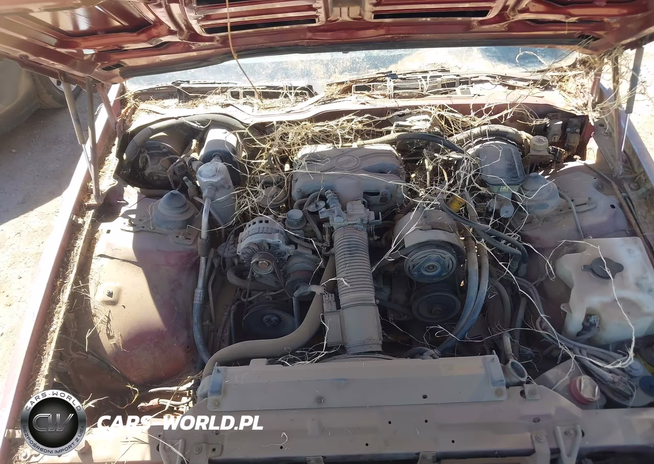 1988 Chevrolet Camaro VIN:1G1FP21S0JL148062 - 10