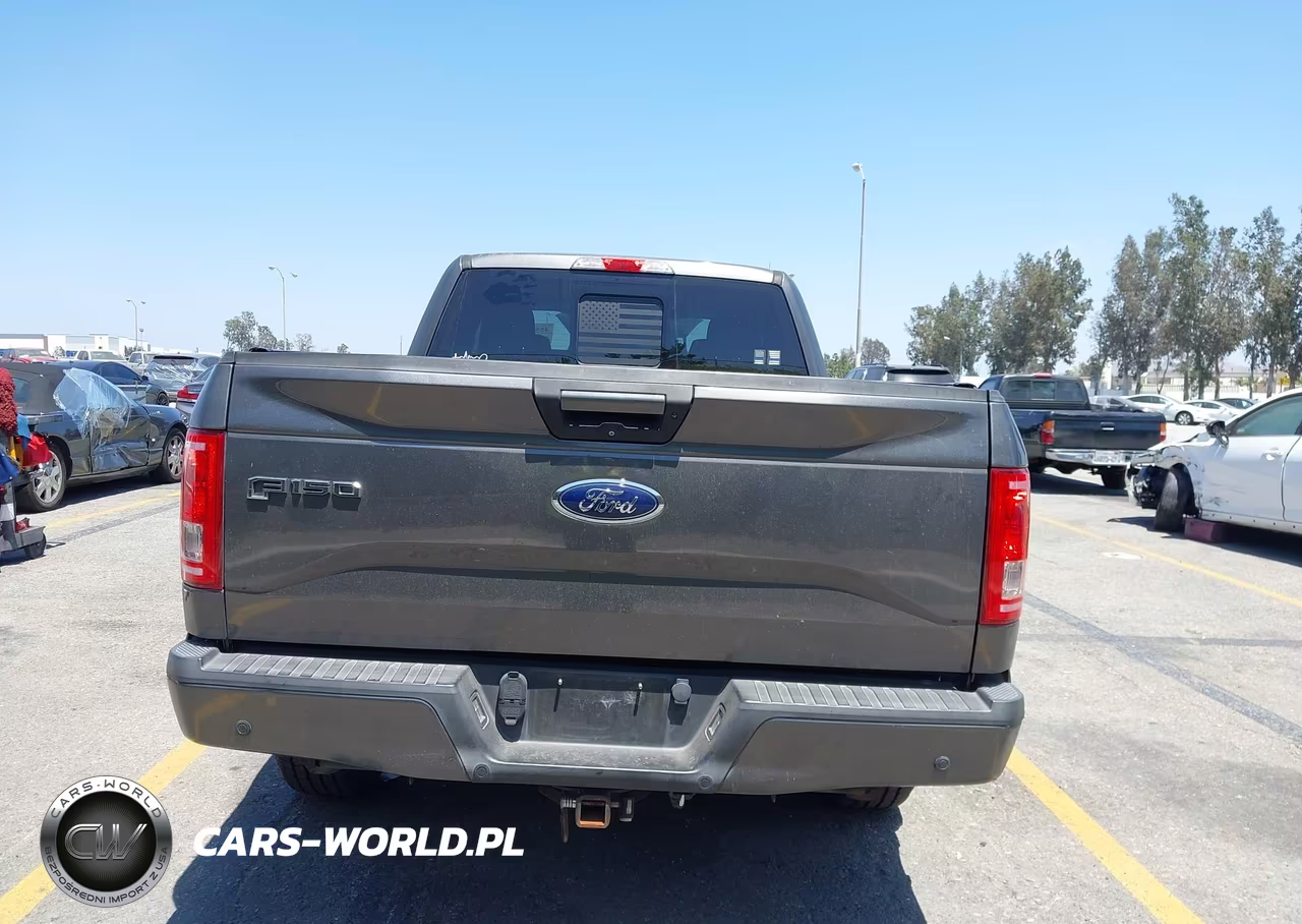 2016 Ford F-150 Xlt VIN:1FTEX1CP4GKE46120 - 17