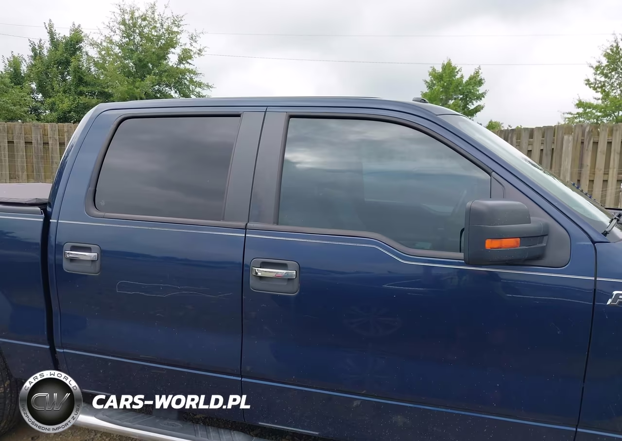 2013 Ford F-150 Fx2-King Ranch-Lariat-Platinum-Xl-Xlt VIN:1FTFW1CF9DFD46209 - 13