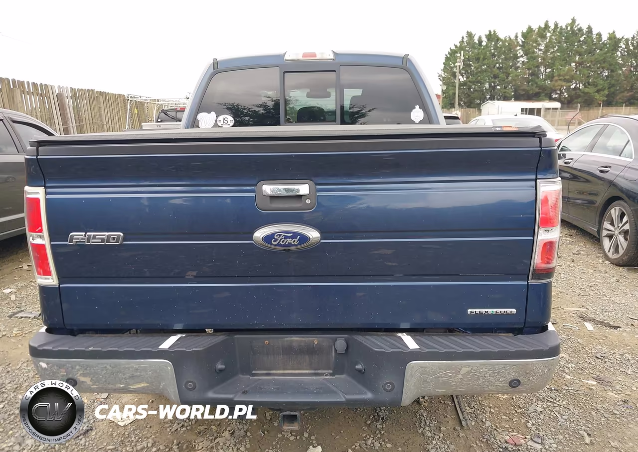 2013 Ford F-150 Fx2-King Ranch-Lariat-Platinum-Xl-Xlt VIN:1FTFW1CF9DFD46209 - 16