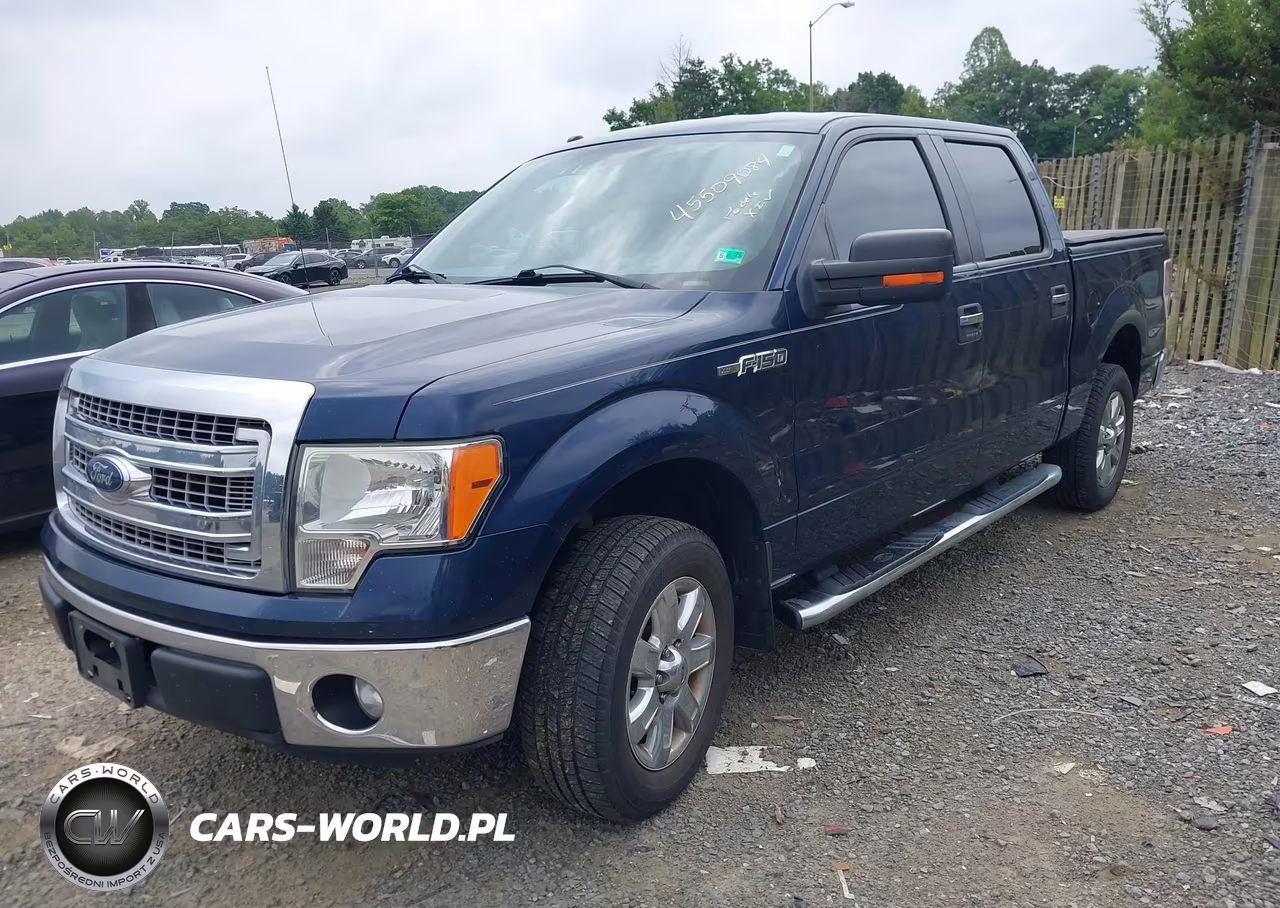 2013 Ford F-150 Fx2-King Ranch-Lariat-Platinum-Xl-Xlt VIN:1FTFW1CF9DFD46209 - 2