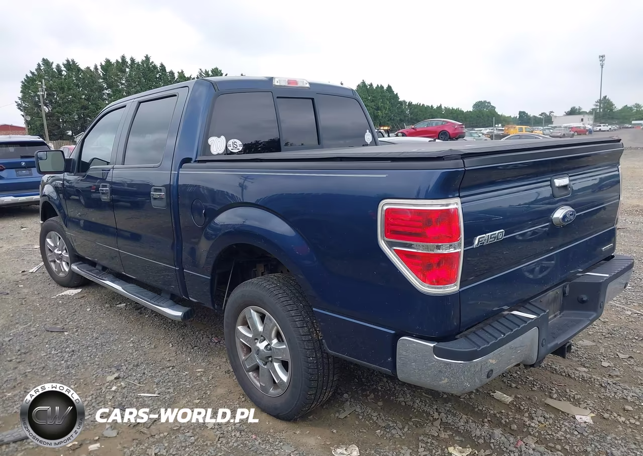2013 Ford F-150 Fx2-King Ranch-Lariat-Platinum-Xl-Xlt VIN:1FTFW1CF9DFD46209 - 3
