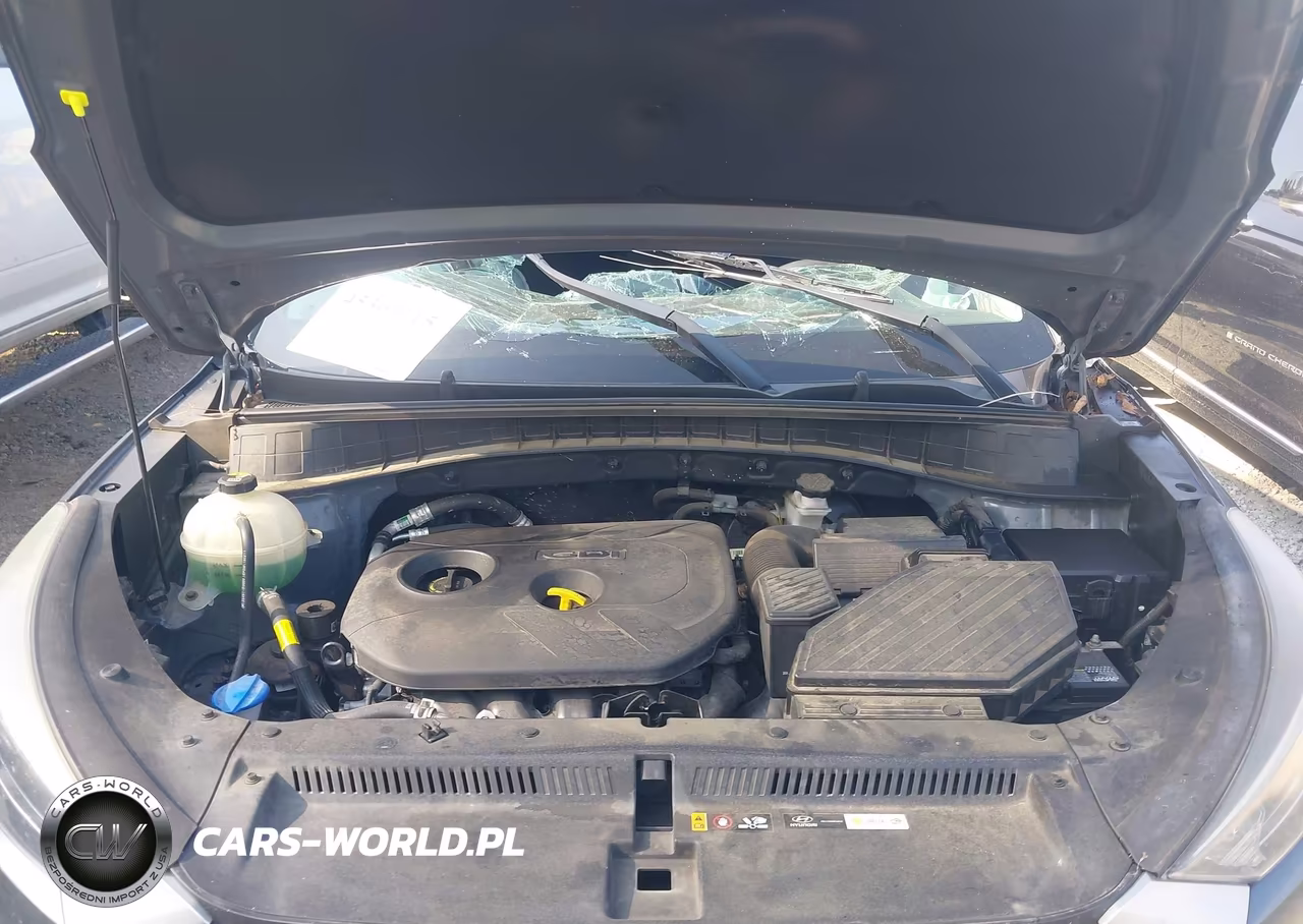 2019 Hyundai Tucson Se VIN:KM8J23A45KU968975 - 10