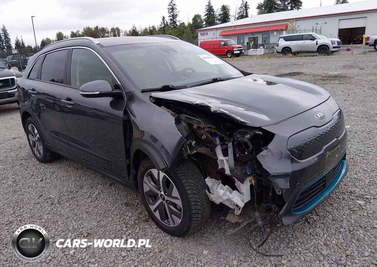 2020 Kia Niro Ev Ex