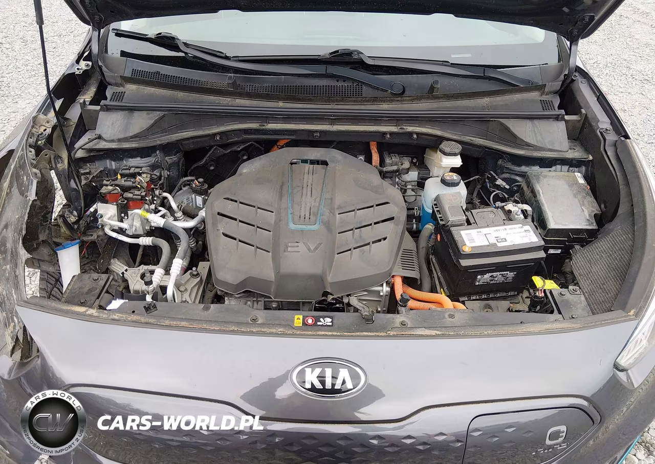 2020 Kia Niro Ev Ex VIN:KNDCC3LGXL5047428 - 10