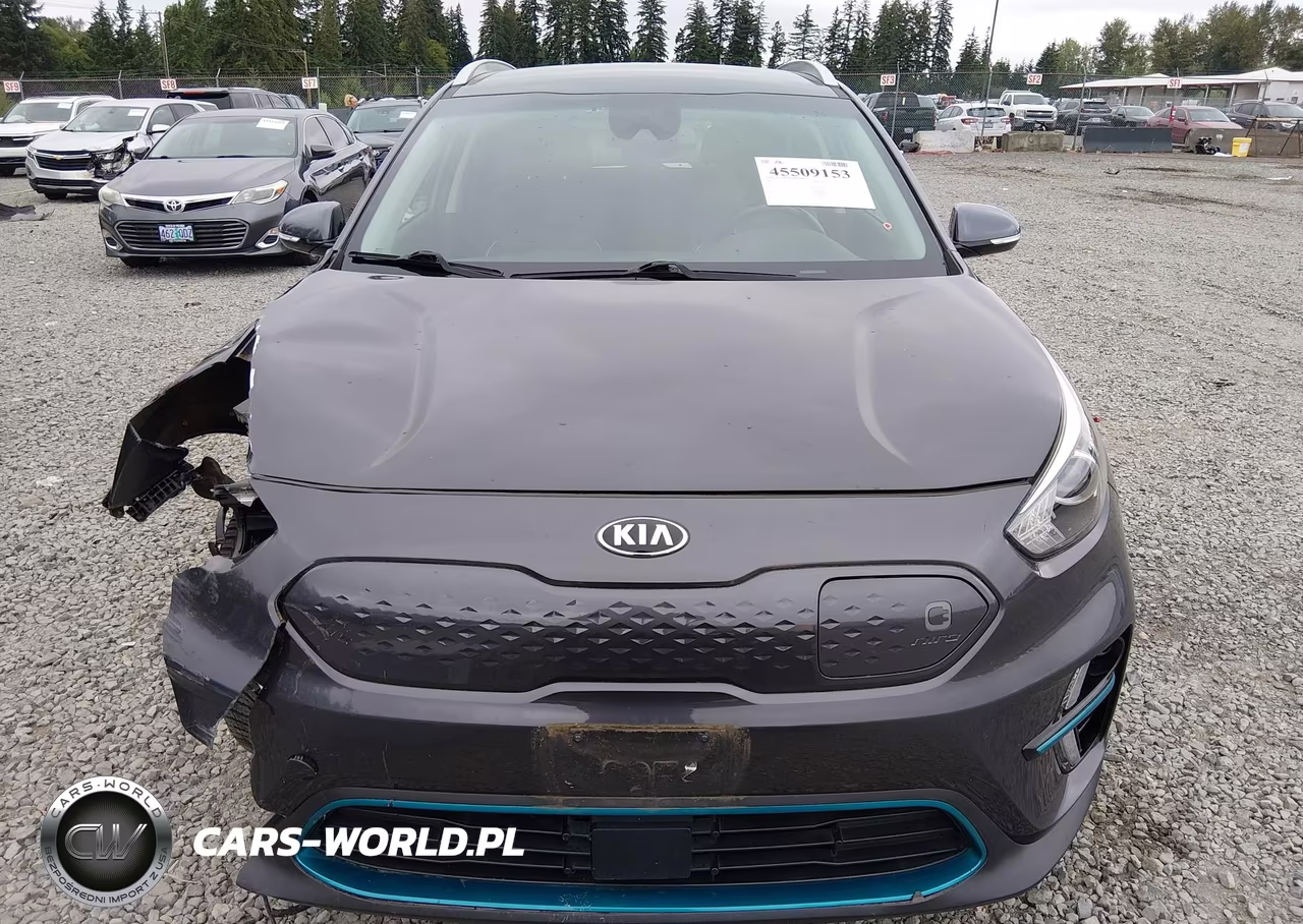 2020 Kia Niro Ev Ex VIN:KNDCC3LGXL5047428 - 12