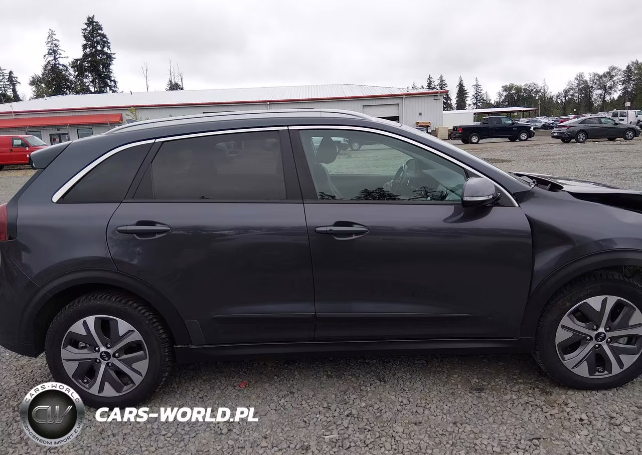 2020 Kia Niro Ev Ex VIN:KNDCC3LGXL5047428 - 13