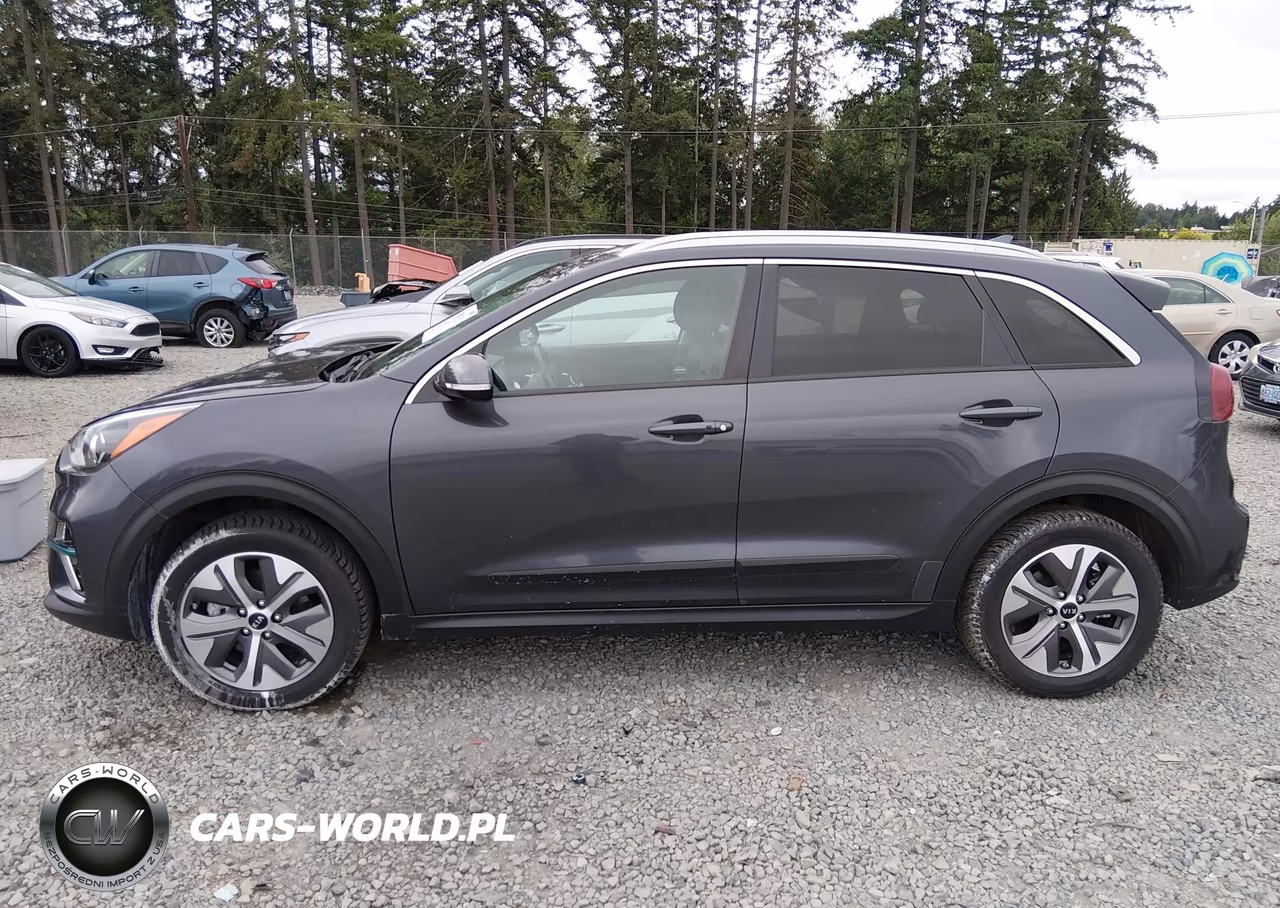2020 Kia Niro Ev Ex VIN:KNDCC3LGXL5047428 - 14