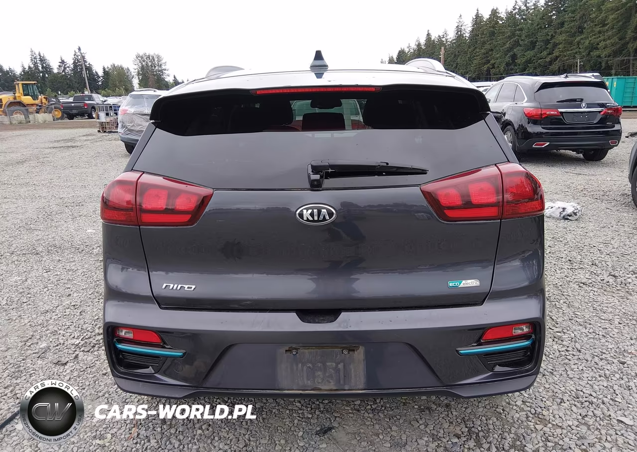 2020 Kia Niro Ev Ex VIN:KNDCC3LGXL5047428 - 16