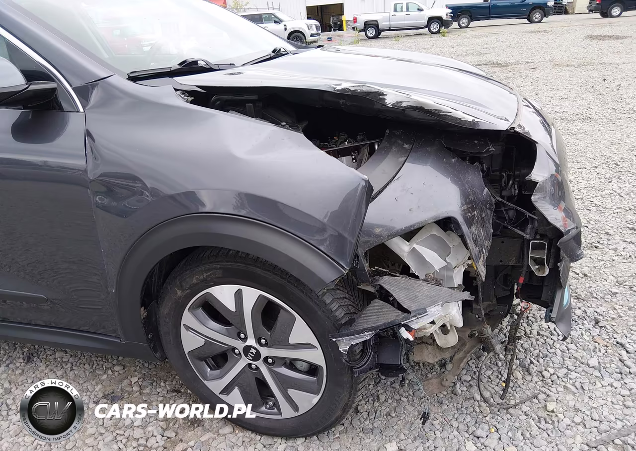2020 Kia Niro Ev Ex VIN:KNDCC3LGXL5047428 - 6