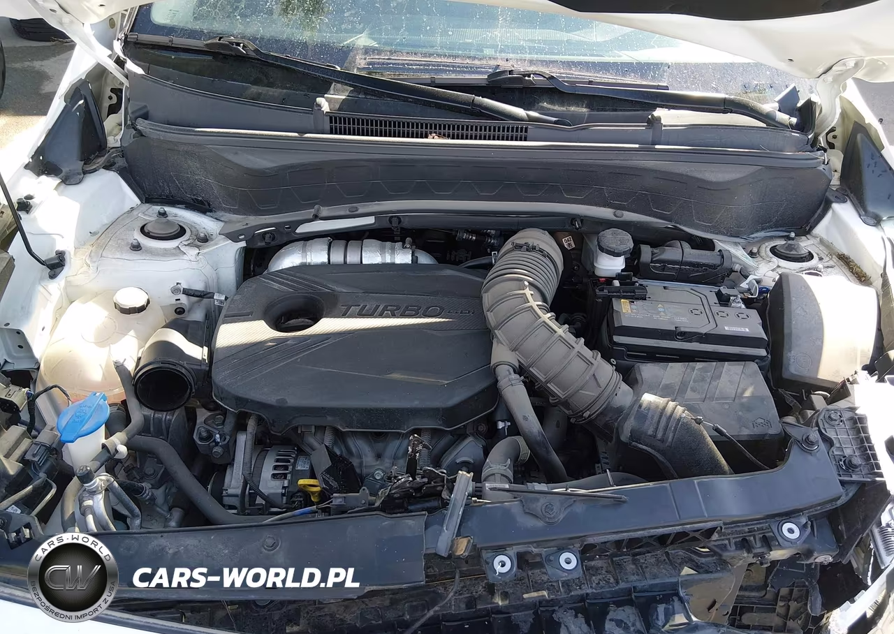 2023 Kia Seltos Sx Turbo VIN:KNDETCA22P7388378 - 10