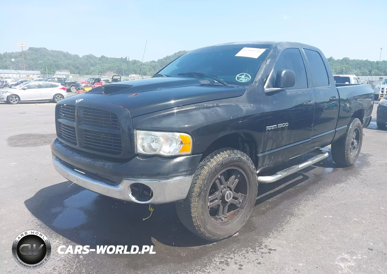 2002 Dodge Ram 1500 St VIN:1B7HU18Z22J117690 - 2