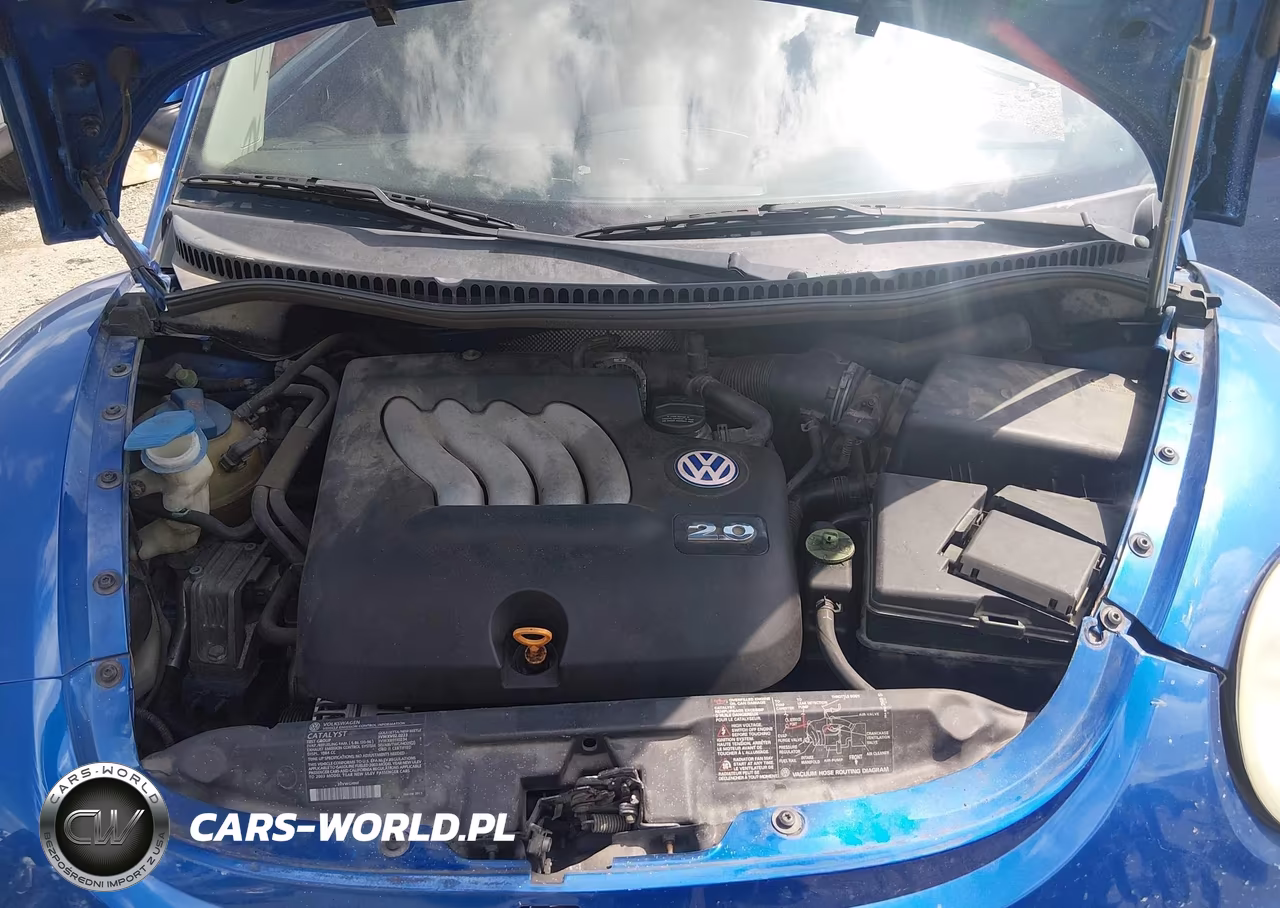 2003 Volkswagen New Beetle Gl VIN:3VWBK21C03M426874 - 10