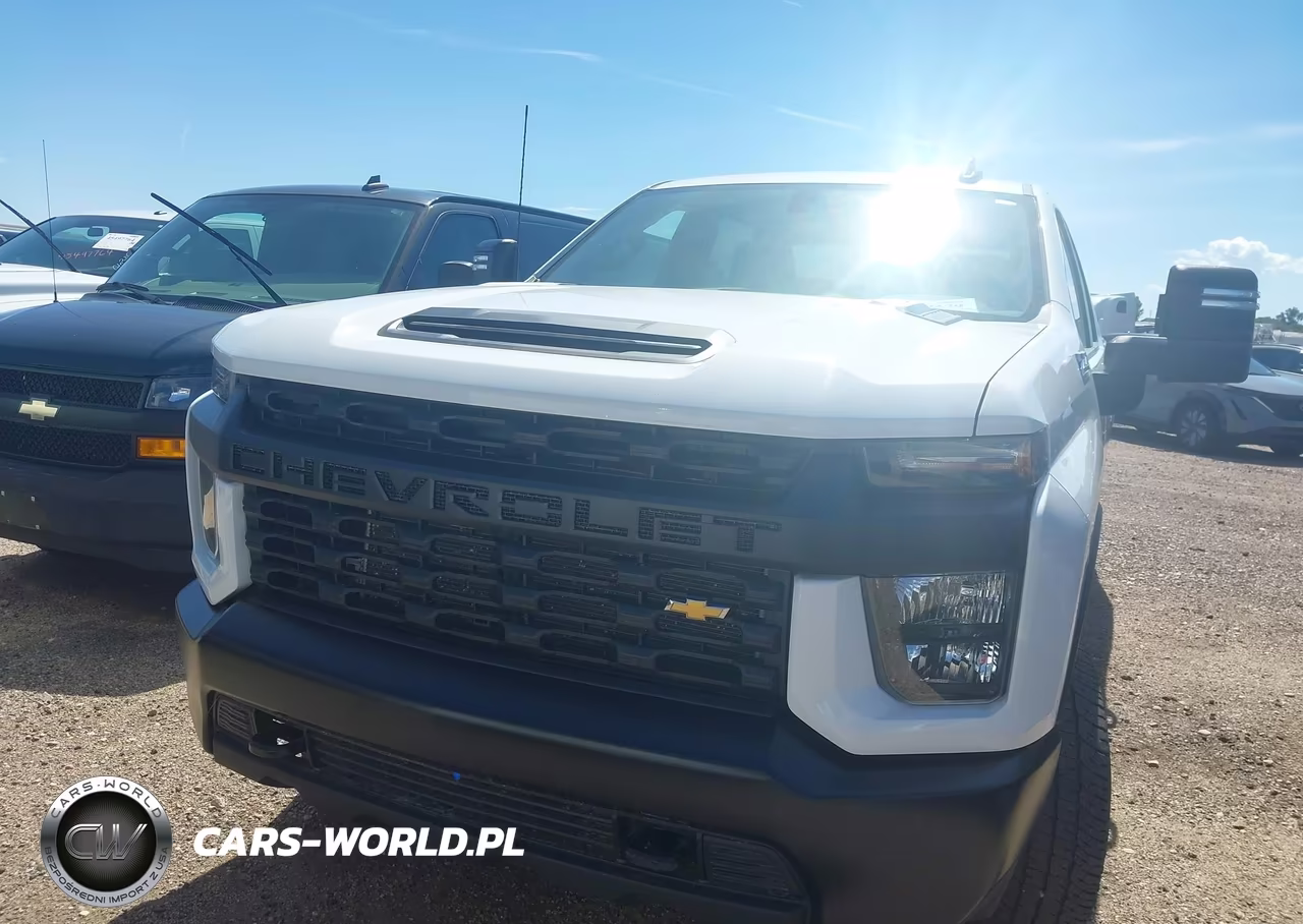 2023 Chevrolet Silverado 3500Hd 4Wd Standard Bed Wt VIN:1GC4YSE79PF197155 - 12