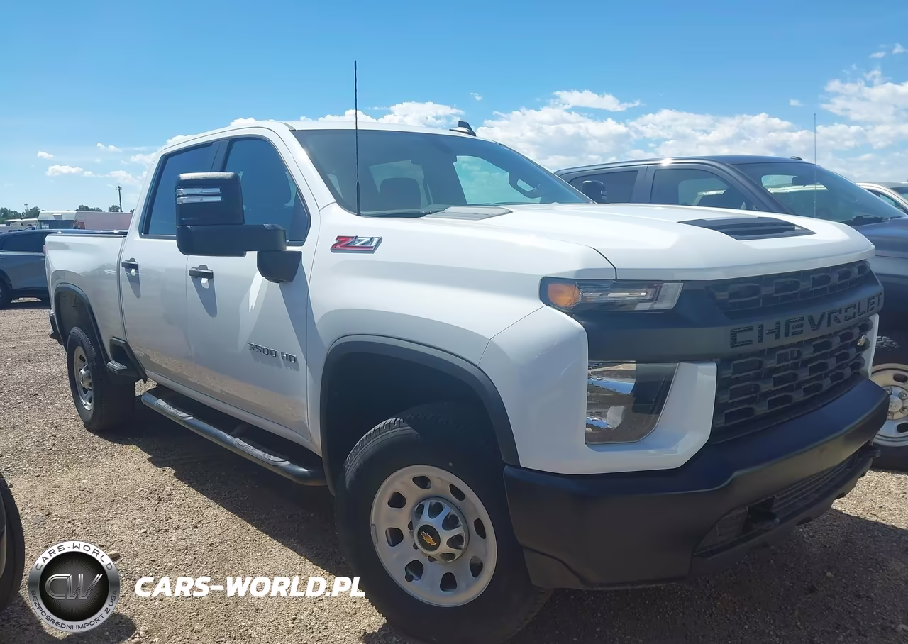 2023 Chevrolet Silverado 3500Hd 4Wd Standard Bed Wt VIN:1GC4YSE79PF197155 - 13