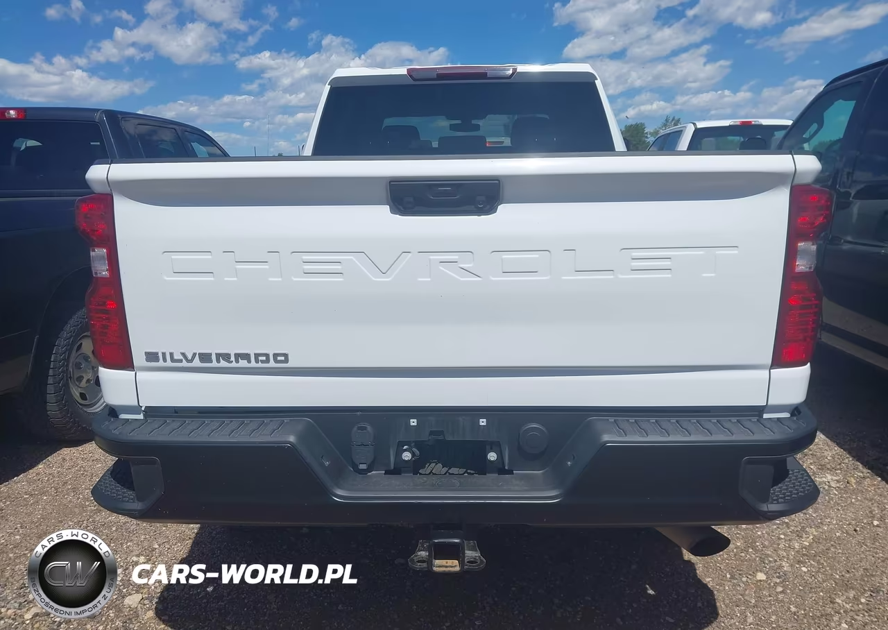 2023 Chevrolet Silverado 3500Hd 4Wd Standard Bed Wt VIN:1GC4YSE79PF197155 - 16