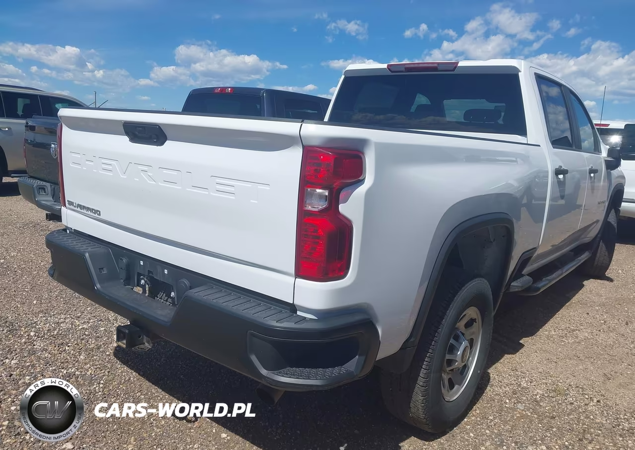 2023 Chevrolet Silverado 3500Hd 4Wd Standard Bed Wt VIN:1GC4YSE79PF197155 - 4