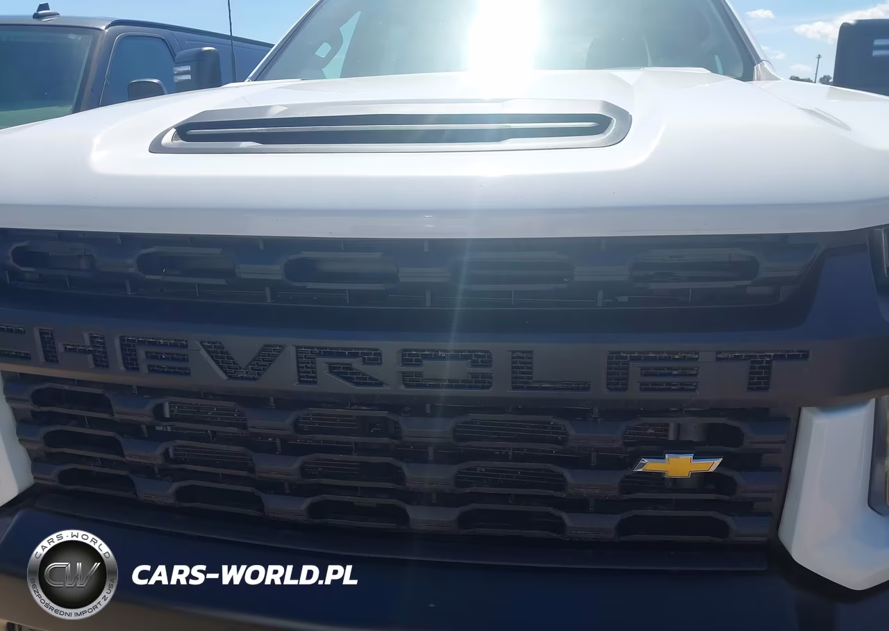 2023 Chevrolet Silverado 3500Hd 4Wd Standard Bed Wt VIN:1GC4YSE79PF197155 - 6