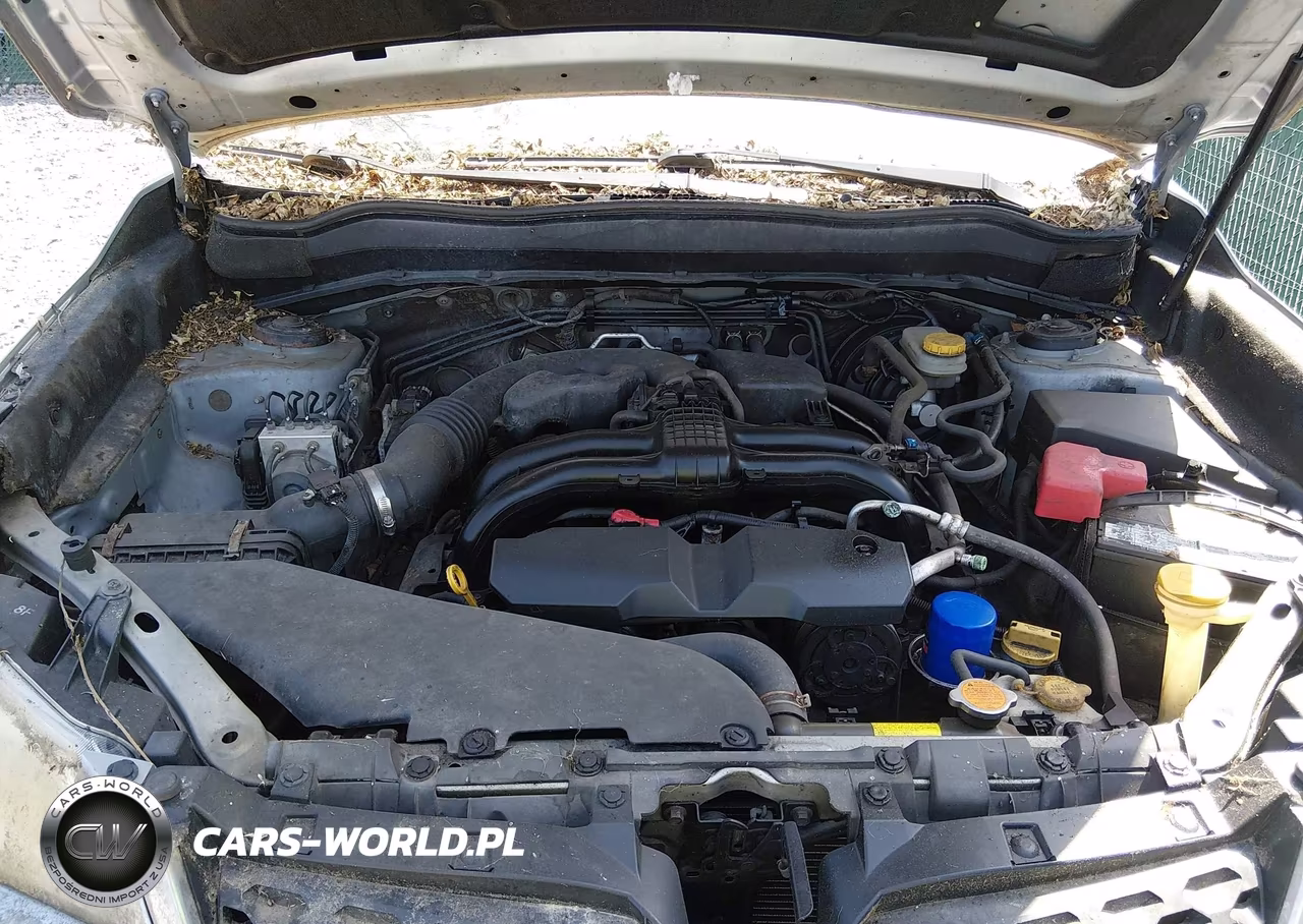 2014 Subaru Forester 2.5I VIN:JF2SJAAC2EH412497 - 10